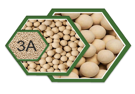 Molecular Sieves